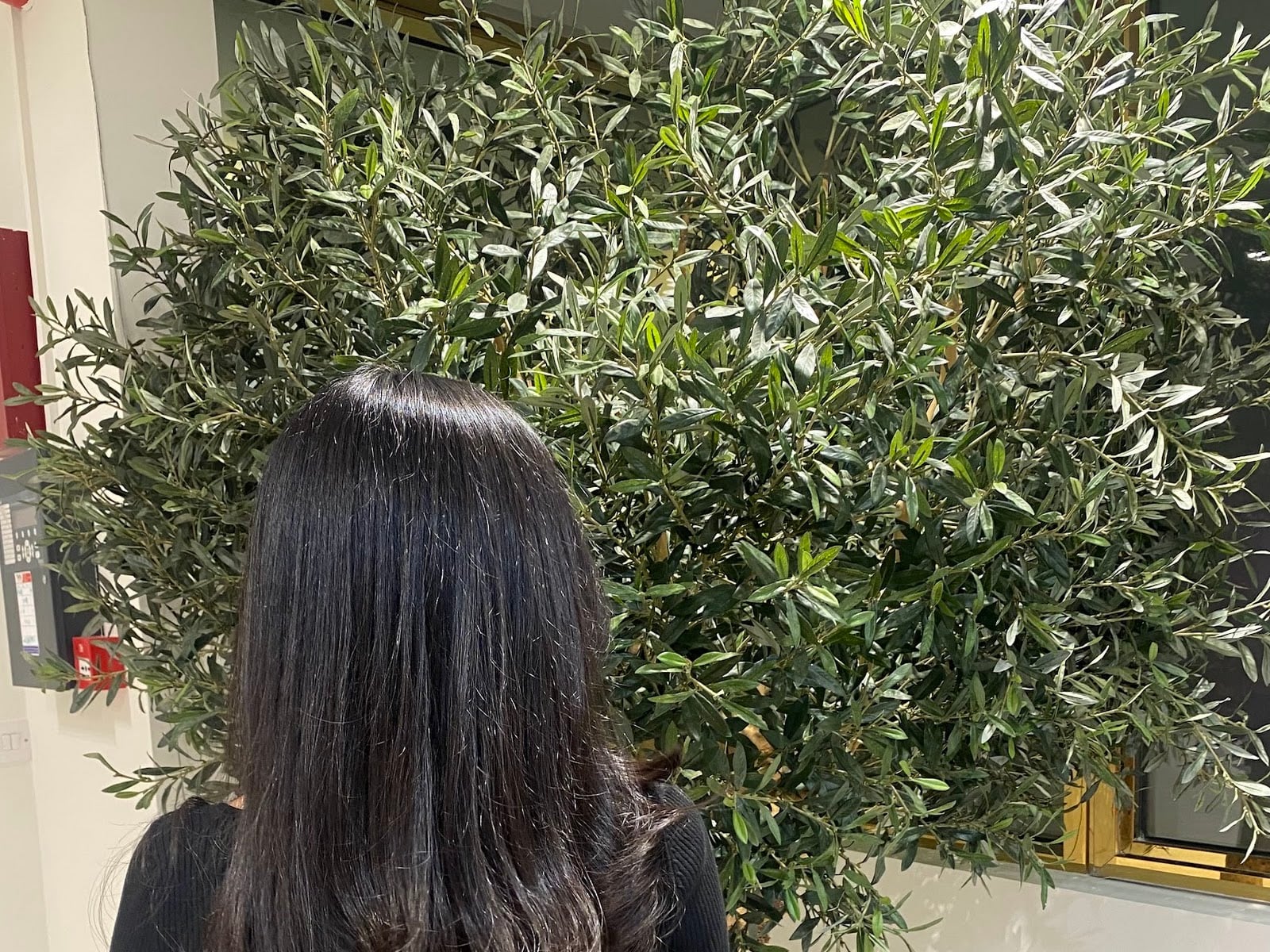 Brush Salon - Beauty Salons in Al Bada'a, Dubai