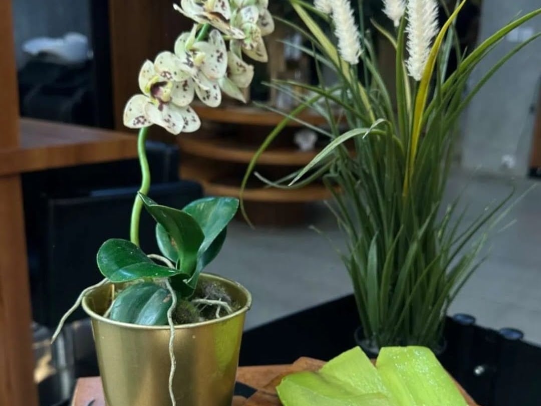 Brush Salon - Beauty Salons in Al Bada'a, Dubai