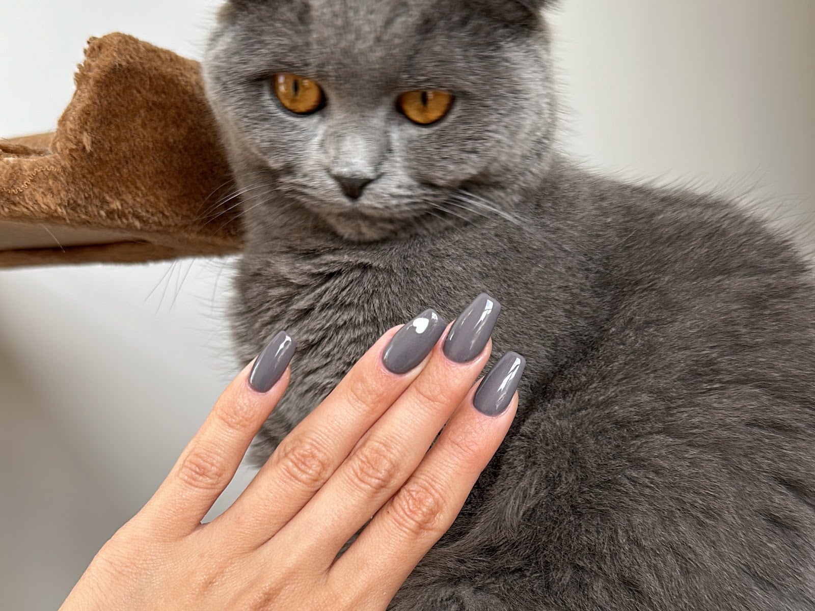 L'instant Beauty Salon - Beauty Salons in Nad Al Sheba 1, Dubai