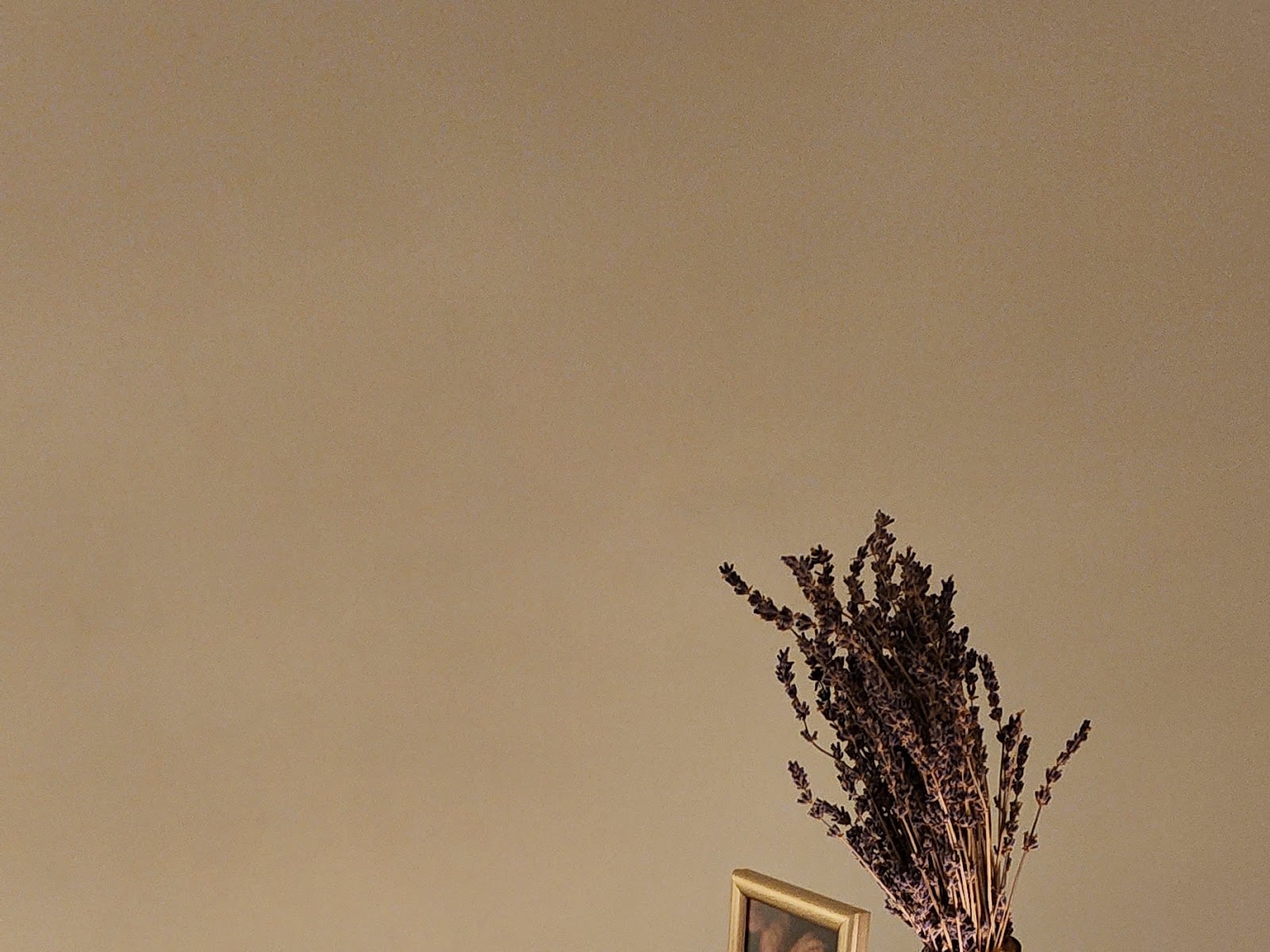 Sofitel Spa with L'Occitane - Spas in Umm Hurair 2, Dubai